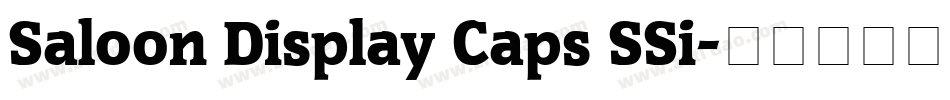Saloon Display Caps SSi字体转换